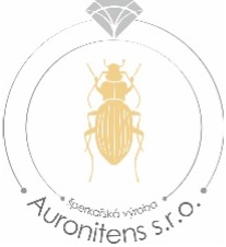 Logo Unique Moments